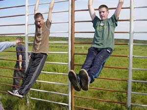 �����������