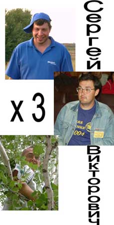 ������ �����������